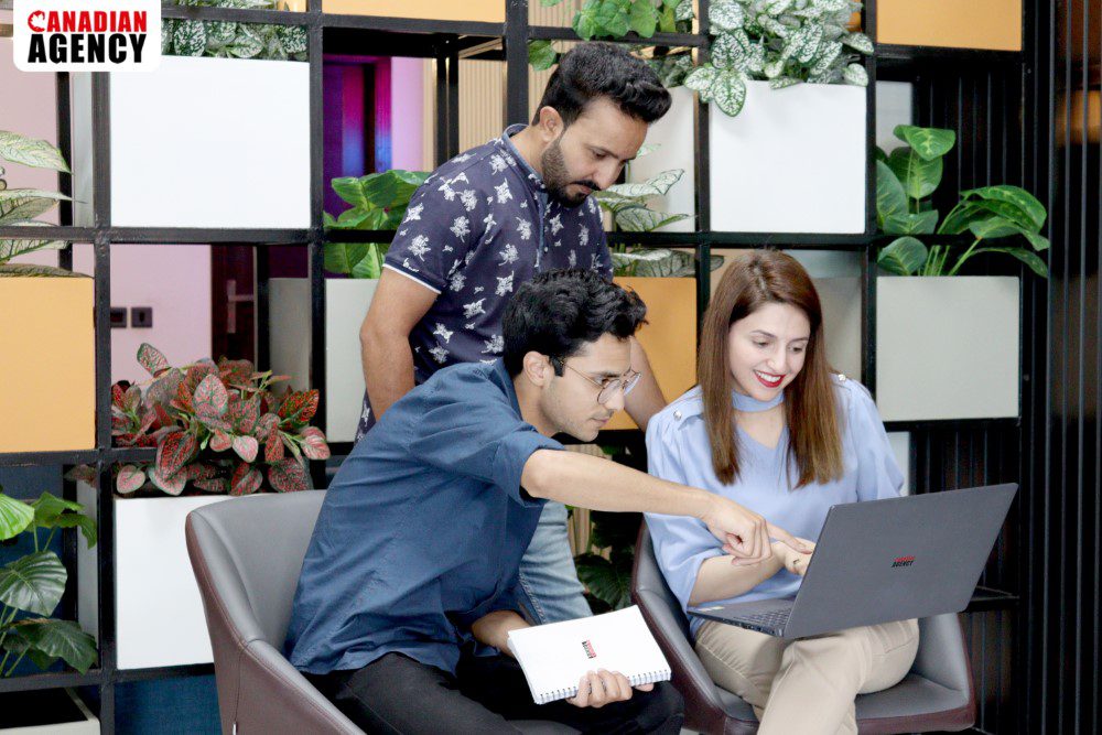 Canadian Software agency team work
