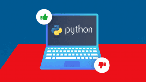 Pros and cons of python