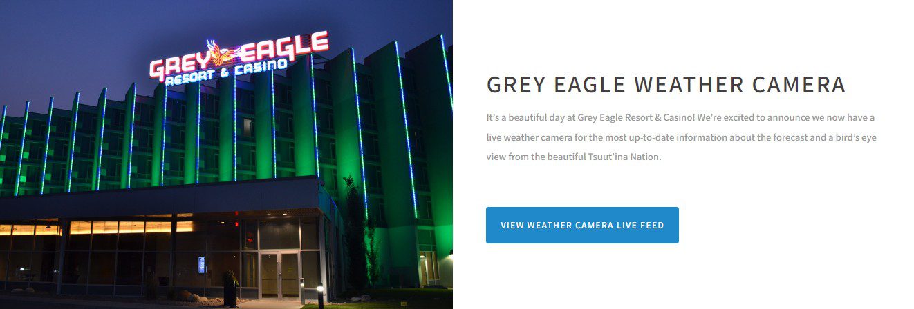 grey eagle 1