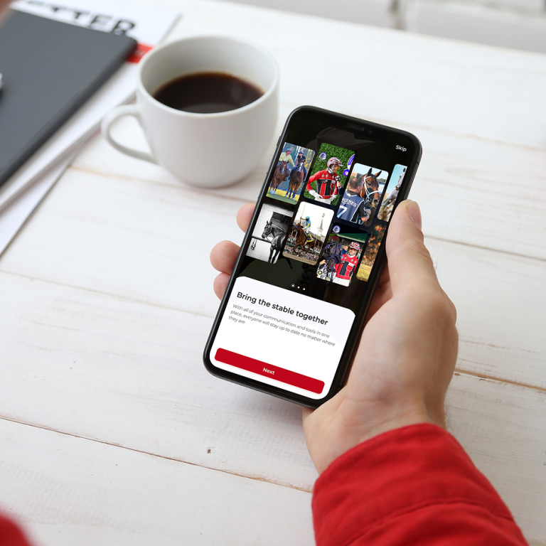 Stable Hub Portfolio Image