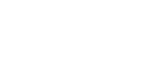 Canadian Software Agency Inc.